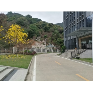 公司環(huán)境