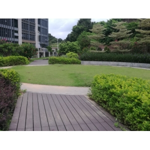 公司環(huán)境